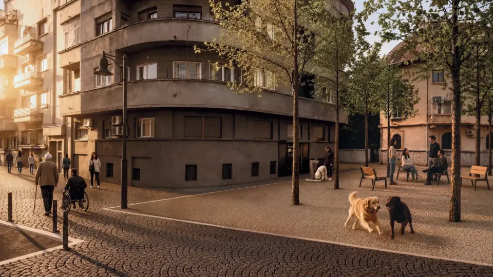 Popa Chițu Square – proposed concept